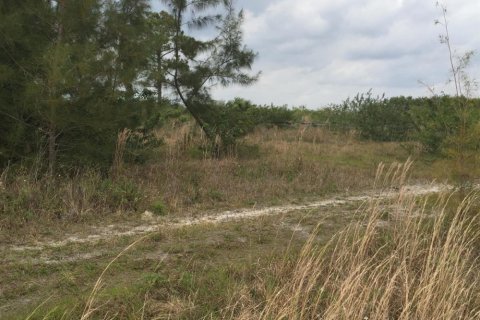 Commercial property in Loxahatchee Groves, Florida № 2246070 - photo 5