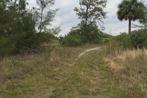 Commercial property in Loxahatchee Groves, Florida № 2246070 - photo 4