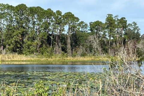 Land in Palatka, Florida № 861947 - photo 1