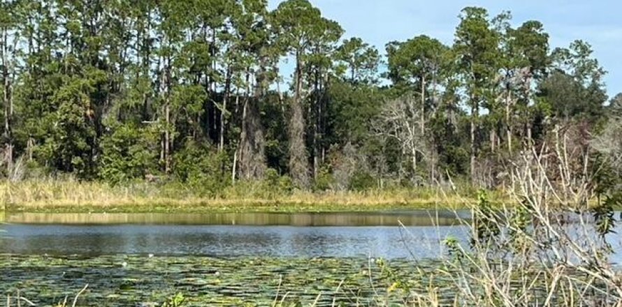 Land in Palatka, Florida № 861947