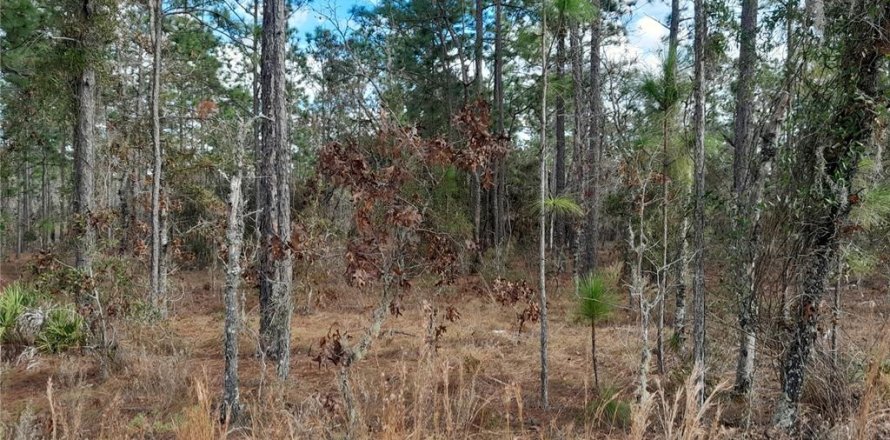 Land in Williston, Florida № 2160055
