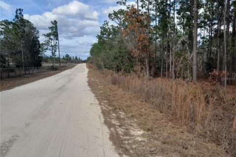 Land in Williston, Florida № 2160055 - photo 5