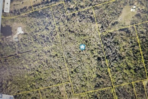 Land in Edgewater, Florida № 2199791
