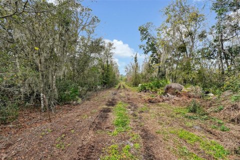 Terrain à vendre à Fort Meade, Floride № 2406426 - photo 6