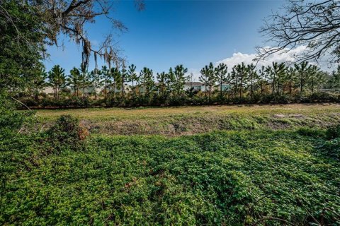 House in Palm Harbor, Florida 2 bedrooms, 83.98 sq.m. № 1719239 - photo 12