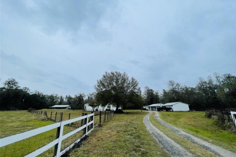 Villa ou maison à vendre à Wesley Chapel, Floride: 7 chambres, 283.35 m2 № 2150947 - photo 3