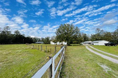 Villa ou maison à vendre à Wesley Chapel, Floride: 7 chambres, 283.35 m2 № 2150947 - photo 4