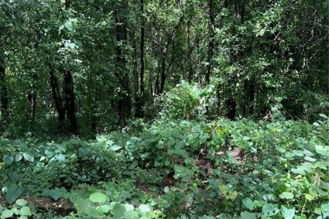 Купить земельный участок в Бруксвилл, Флорида № 1521277 - фото 3