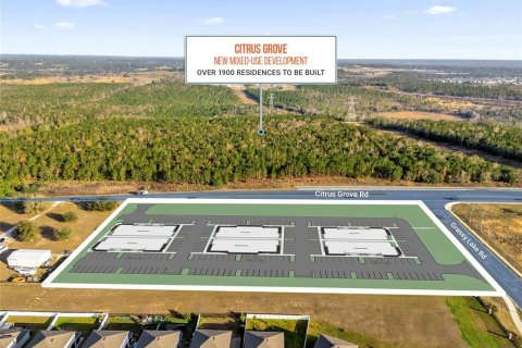 Propiedad comercial en alquiler en Minneola, Florida, 2837.98 m2 № 1549621 - foto 8