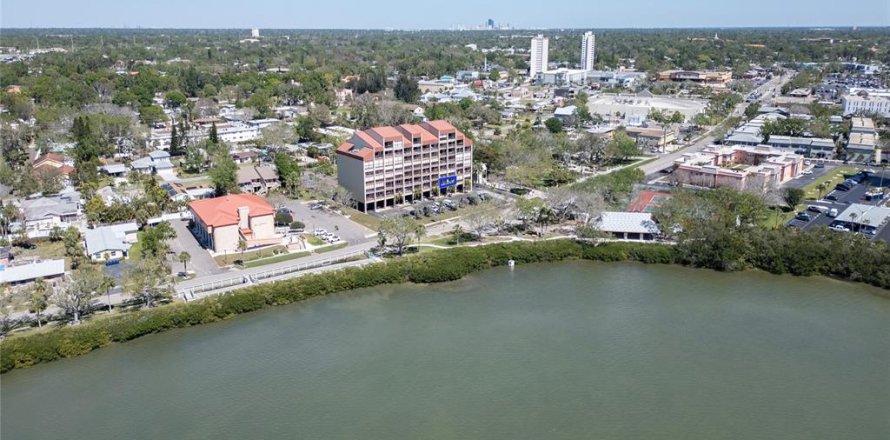 Condo à South Pasadena, Floride, 2 chambres № 1608439