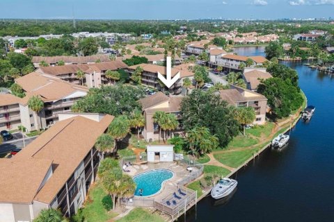 Condominio en alquiler en Tampa, Florida, 1 dormitorio, 69.12 m2 № 1807207 - foto 25