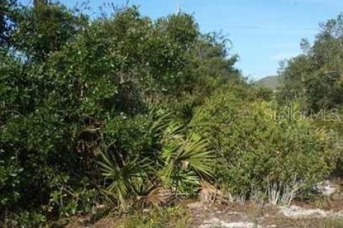 Land in Lake Placid, Florida № 2118358