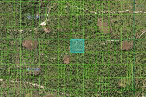 Land in Frostproof, Florida № 1631486 - photo 2