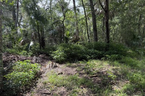Terrain à vendre à Homosassa, Floride № 2259171 - photo 5