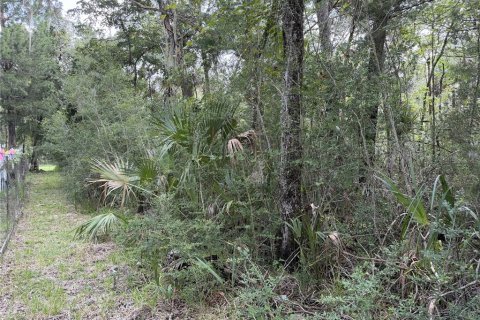 Terrain à vendre à Homosassa, Floride № 2259171 - photo 6