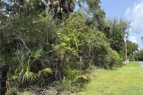 Land in Homosassa, Florida № 2259171