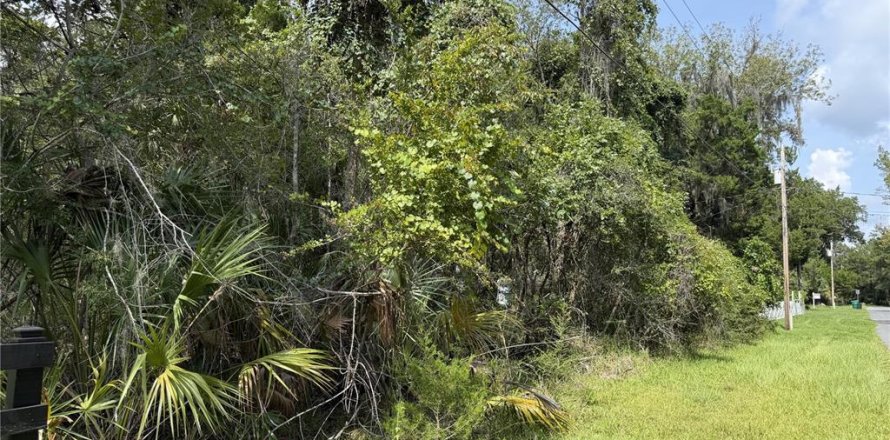 Terrain à Homosassa, Floride № 2259171