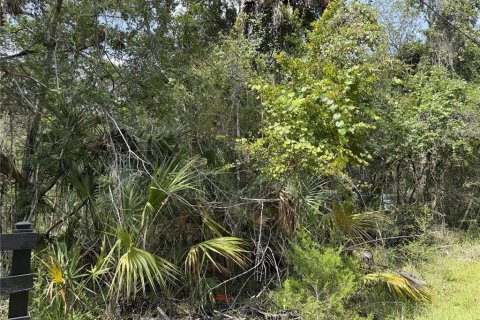 Terrain à vendre à Homosassa, Floride № 2259171 - photo 3