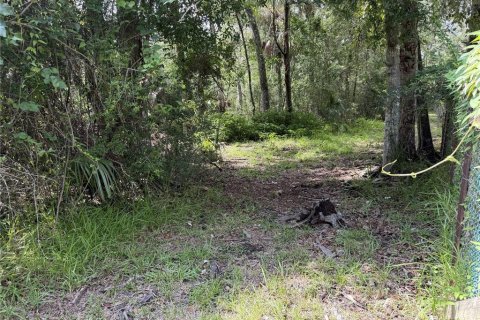Terrain à vendre à Homosassa, Floride № 2259171 - photo 4