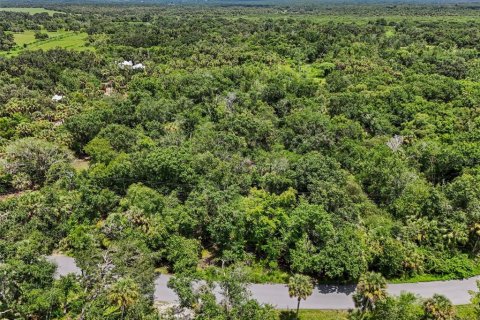 Land in Sarasota, Florida № 1796766 - photo 11