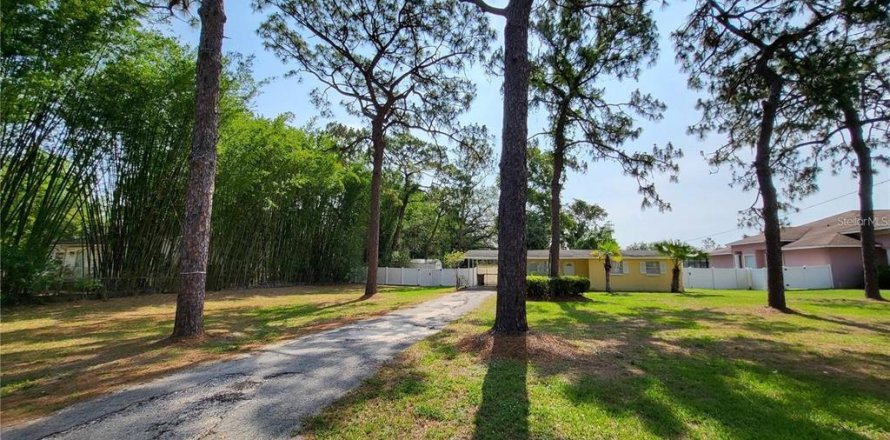 Villa ou maison à Temple Terrace, Floride 3 chambres, 83.98 m2 № 1880785
