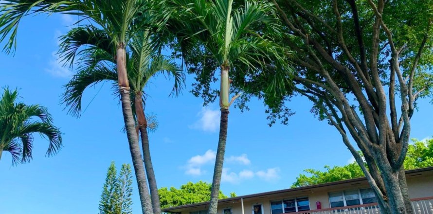 Condo à West Palm Beach, Floride, 1 chambre  № 2077495
