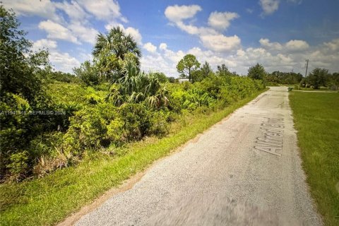 Terrain à vendre à Punta Gorda, Floride № 1999579 - photo 2