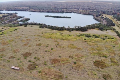 Land in Fort Meade, Florida № 924158 - photo 4