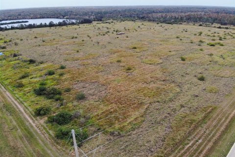Land in Fort Meade, Florida № 924158 - photo 1