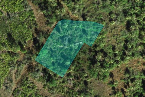 Land in Punta Gorda, Florida № 2159285 - photo 2