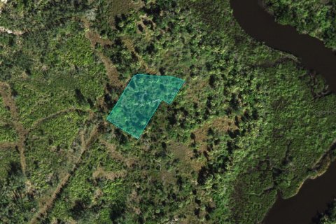Land in Punta Gorda, Florida № 2159285 - photo 3