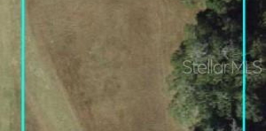 Terreno en Oxford, Florida № 1754717