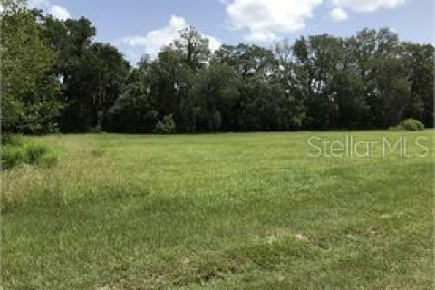 Terreno en venta en Oxford, Florida № 1754717 - foto 2