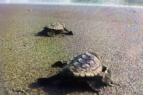 Copropriété à vendre à Tequesta, Floride: 2 chambres, 219.06 m2 № 2048920 - photo 24