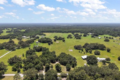 Terreno en venta en Webster, Florida № 1851866 - foto 3