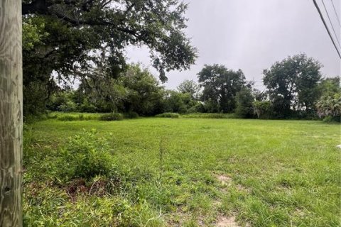 Land in Tampa, Florida № 1829861 - photo 9