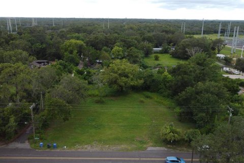 Land in Tampa, Florida № 1829861 - photo 4