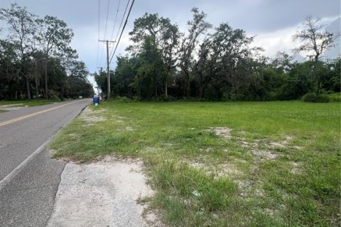 Land in Tampa, Florida № 1829861 - photo 11