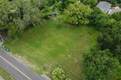 Land in Tampa, Florida № 1829861 - photo 1
