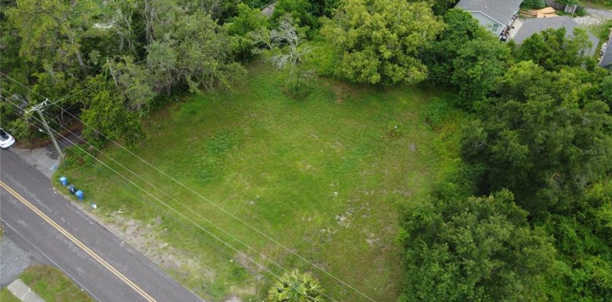 Land in Tampa, Florida № 1829861