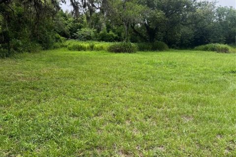 Land in Tampa, Florida № 1829861 - photo 8
