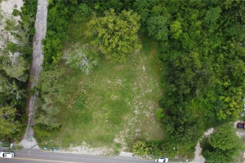 Land in Tampa, Florida № 1829861 - photo 2