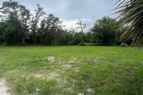 Land in Tampa, Florida № 1829861 - photo 10