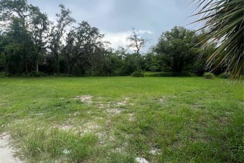 Land in Tampa, Florida № 1829861 - photo 12