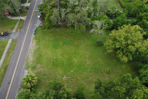 Land in Tampa, Florida № 1829861 - photo 6