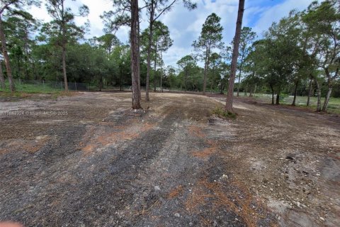 Land in Clewiston, Florida № 1836377 - photo 7