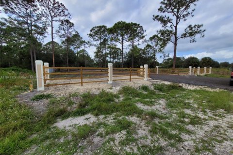 Land in Clewiston, Florida № 1836377 - photo 2