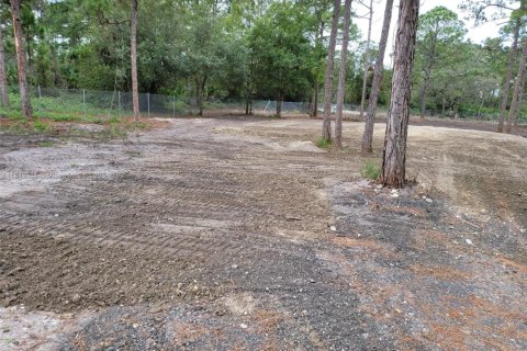 Land in Clewiston, Florida № 1836377 - photo 10
