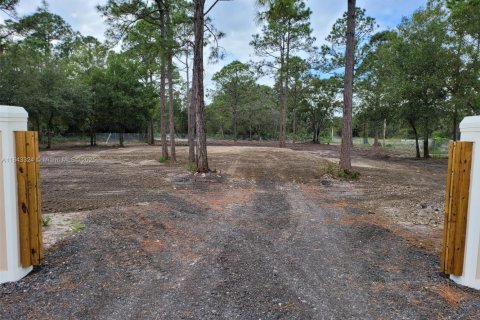 Land in Clewiston, Florida № 1836377 - photo 4
