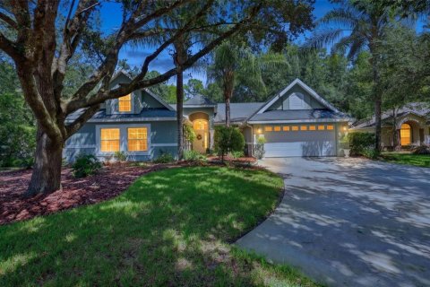 House in DeLand, Florida 5 bedrooms, 270.35 sq.m. № 2339347
